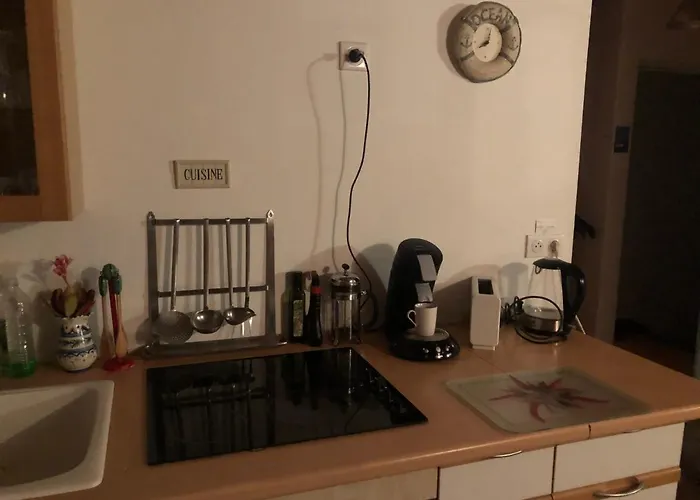 Cote Des Basques Lejlighed *